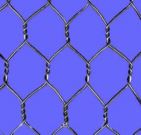 hexagonal wire mesh /chicken wire mesh